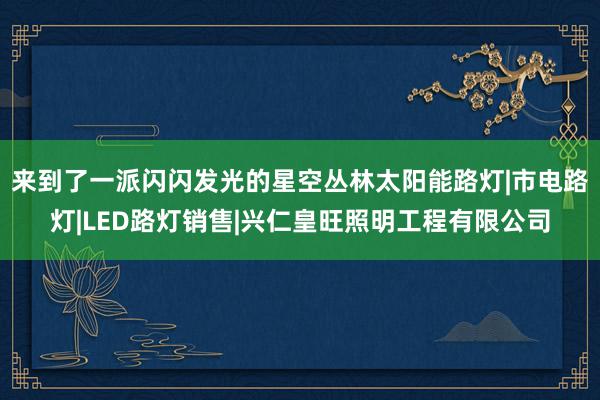 来到了一派闪闪发光的星空丛林太阳能路灯|市电路灯|LED路灯销售|兴仁皇旺照明工程有限公司